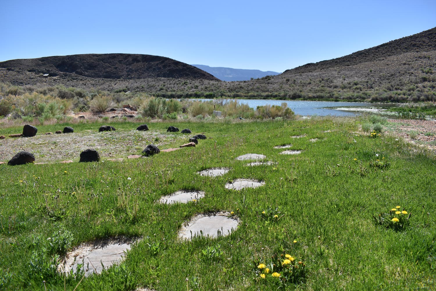 A path of stepping stones winds through the grass towards a tranquil lake, symbolizing the mindful, step-by-step journey of holistic healing and personal recovery.