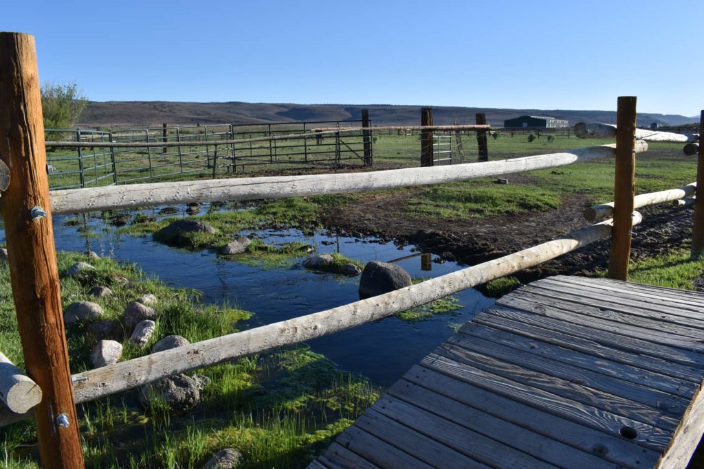 A bridge crosses over water on the grounds of a treatment facility, symbolizing the safe passage to wellness provided by integrated psychiatry and medical services for mental health.