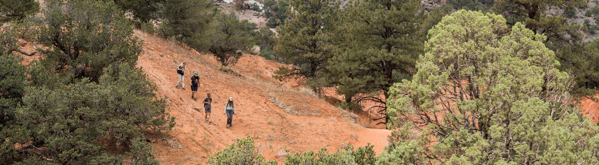 A group of individuals participates in a therapeutic hike through a vast canyon, symbolizing the mental health journey of navigating challenges and moving toward recovery.