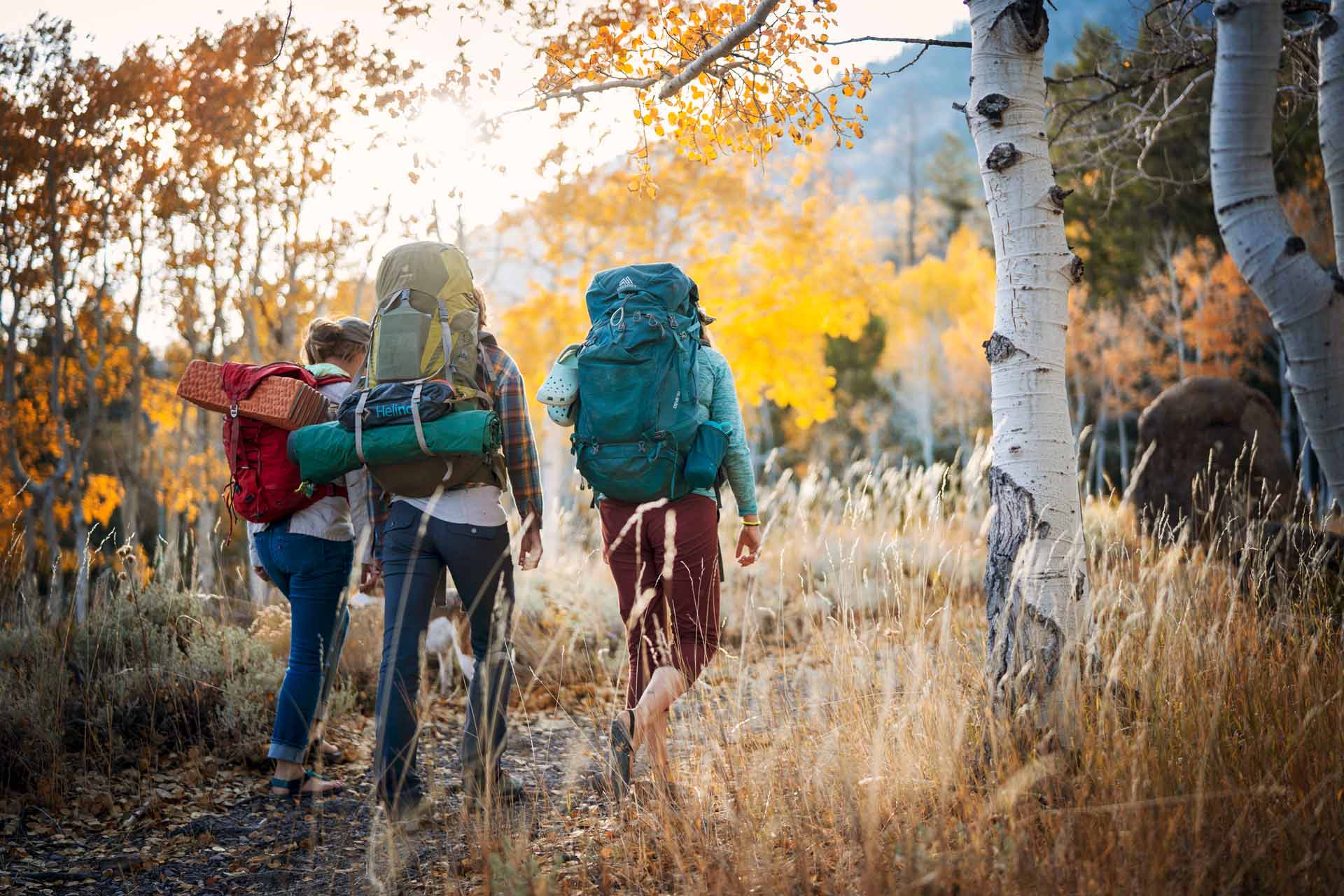 Three young women begin their journey of healing on a backpacking trip through a golden aspen forest, embarking on a new path with a women's wilderness therapy program.
