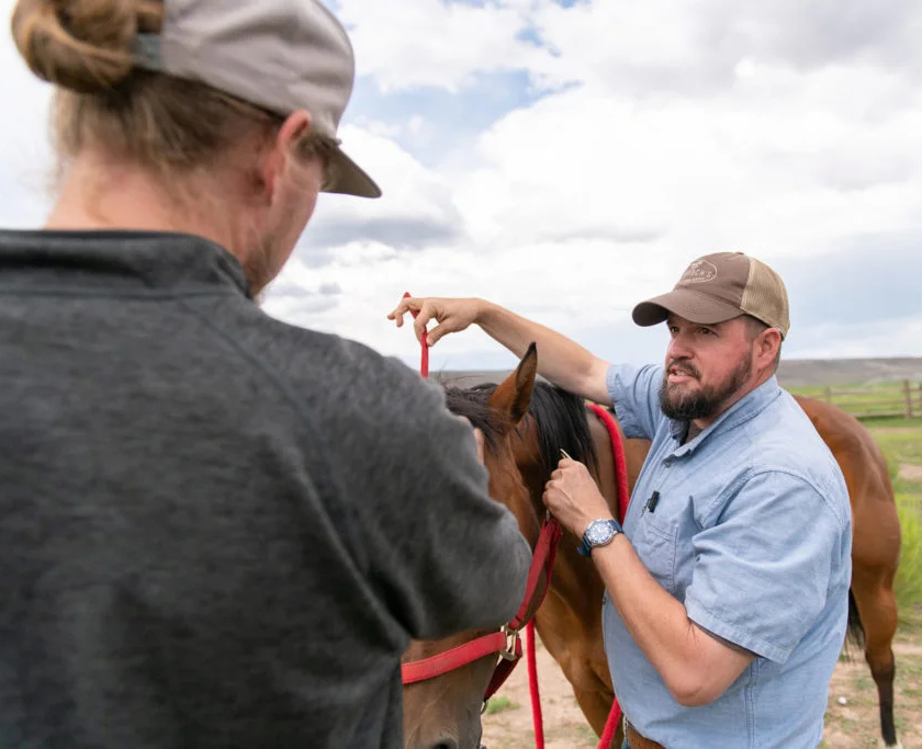 A therapist provides trauma-informed care, guiding a client on how to interact with a horse during an equine therapy session designed to build trust, communication, and emotional regulation.