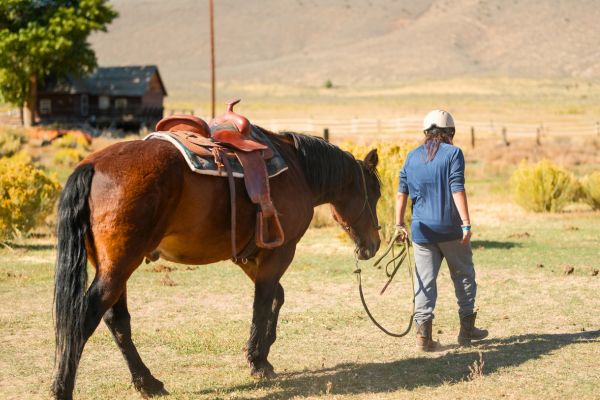 Client leading a saddled horse across the Legacy Outdoor Adventures campus as part of an outdoor-based residential addiction treatment program in Texas.